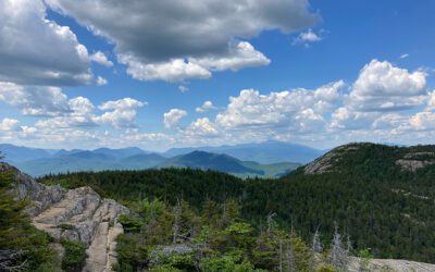 Plastic Straw ban in National Park