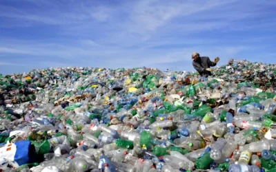 GSA Seeking Information on Banning Single Use Plastic